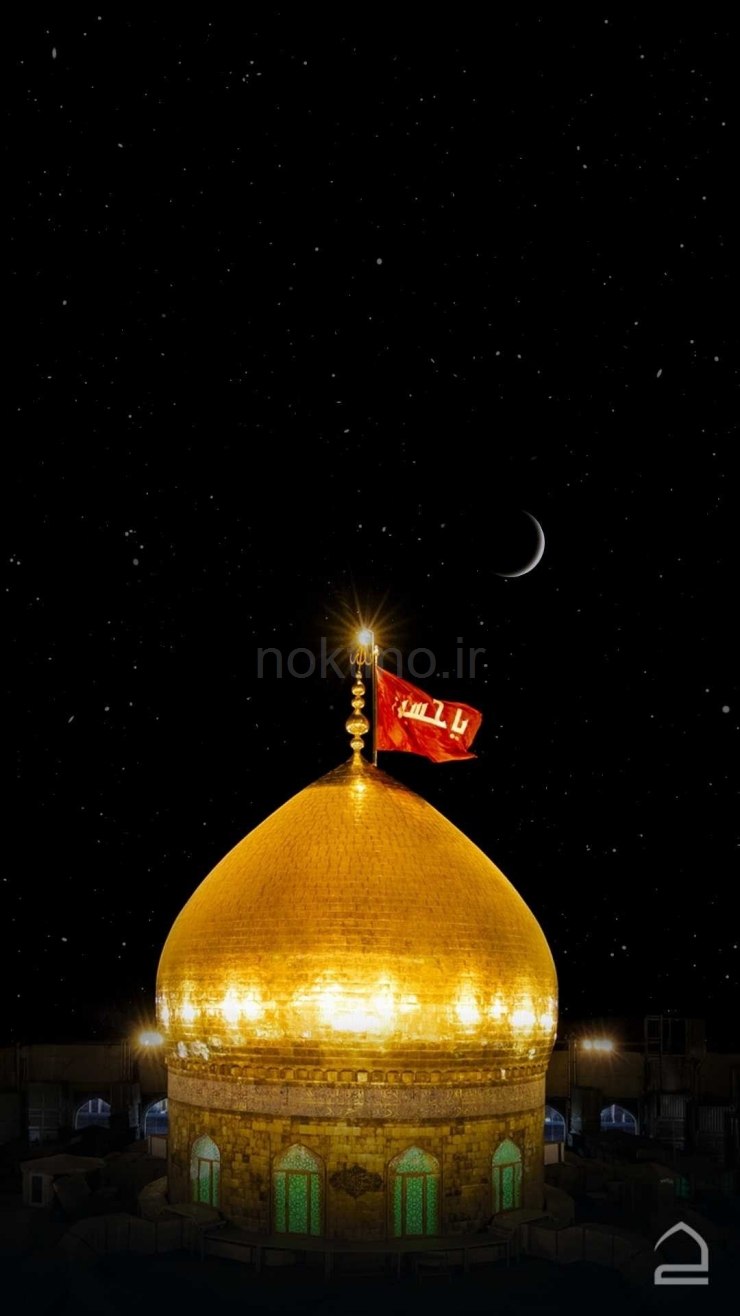  عکس کربلا در شب