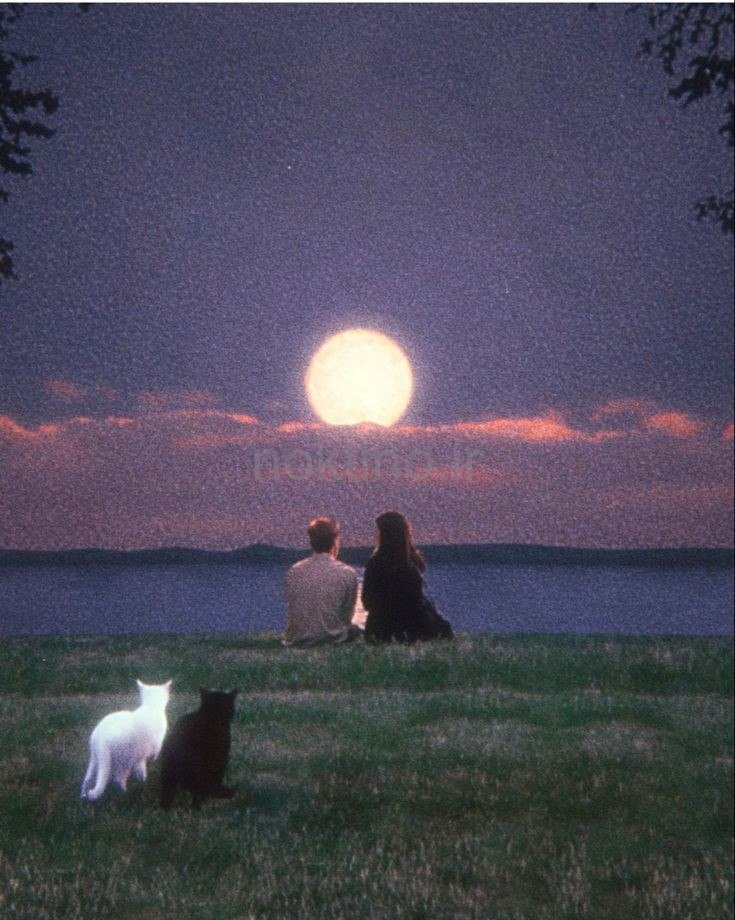 عکس خفن عکس های ترند دو نفره